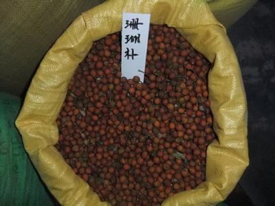 【咸陽(yáng)市香椿種子價(jià)格】?jī)r(jià)格,廠家,其他種子、種苗-搜了網(wǎng)