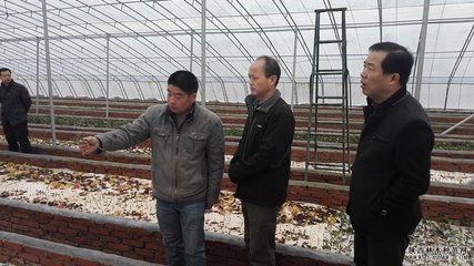 陜西省林木種苗站站長(zhǎng)謝君朝赴渭南市調(diào)研檢查林木種苗工作