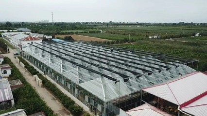 陜西種苗集團成為全國最大國有種苗基地